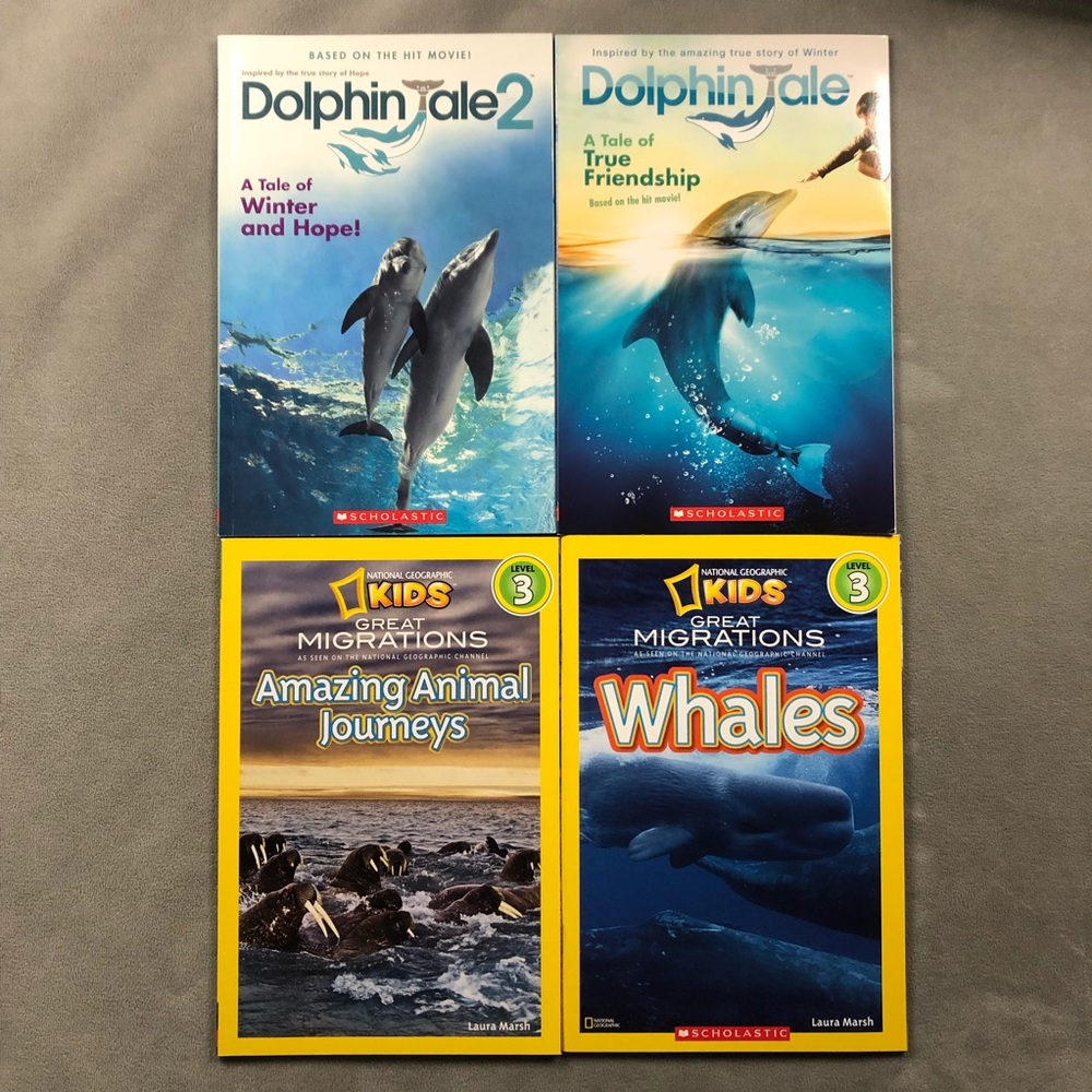 Set of 4 ~ Ocean Leveled Readers ~ Dolphin Tale National Geographic Kids